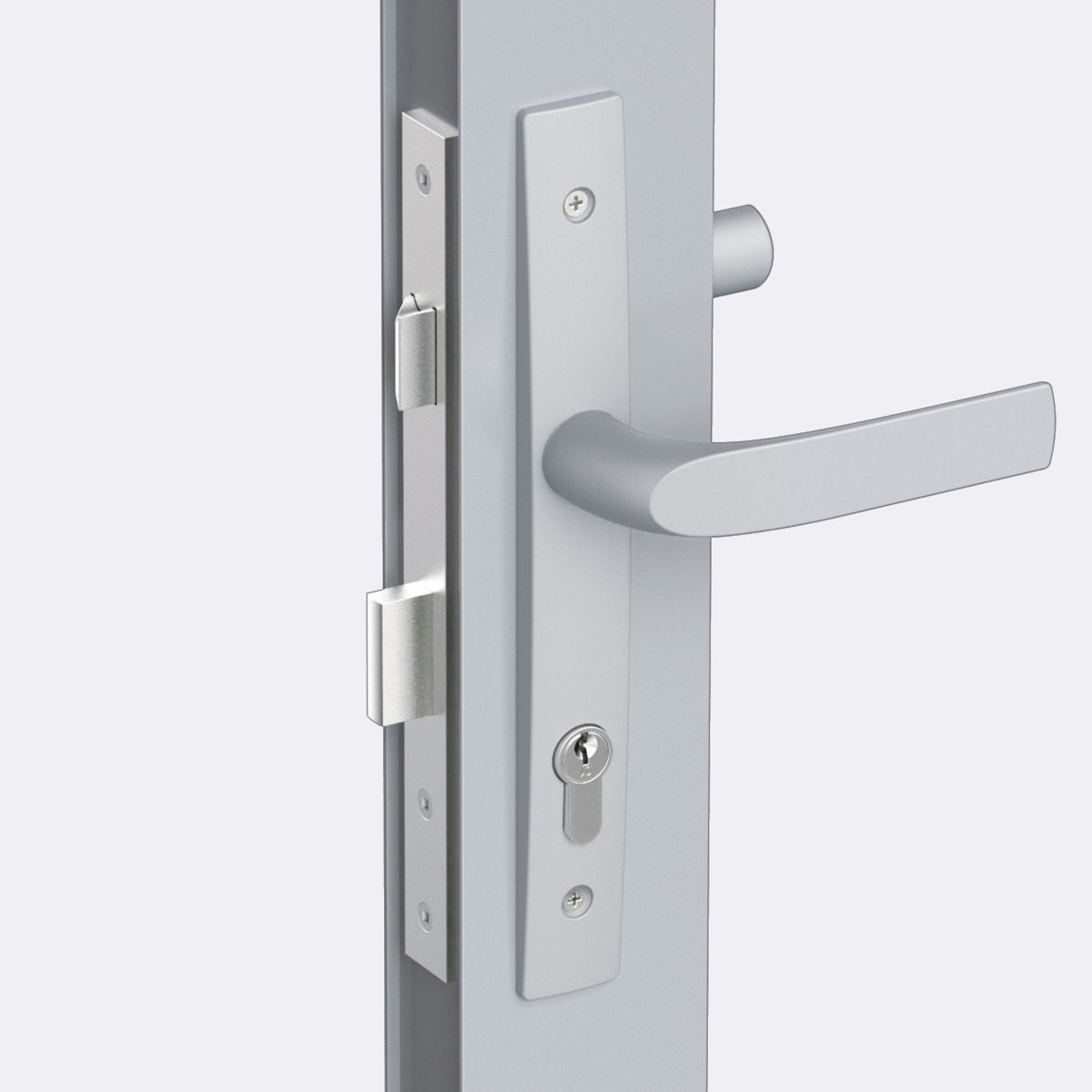 Signature hinged door lock